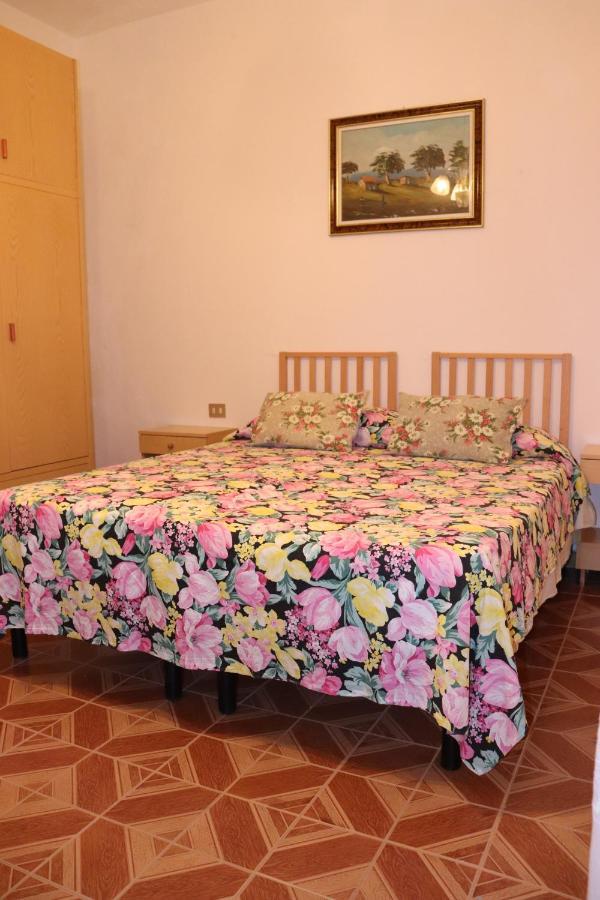 Casa Andreea *